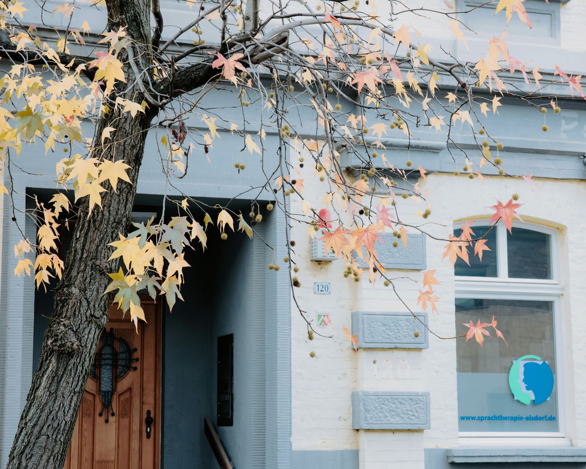 Praxis Kontakt Elsdorf